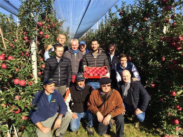 Allans farm group