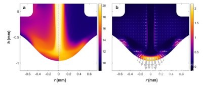 The characteristics of plasma near liquid surface calculated by plasma theory model [Photo provided = KAIST]