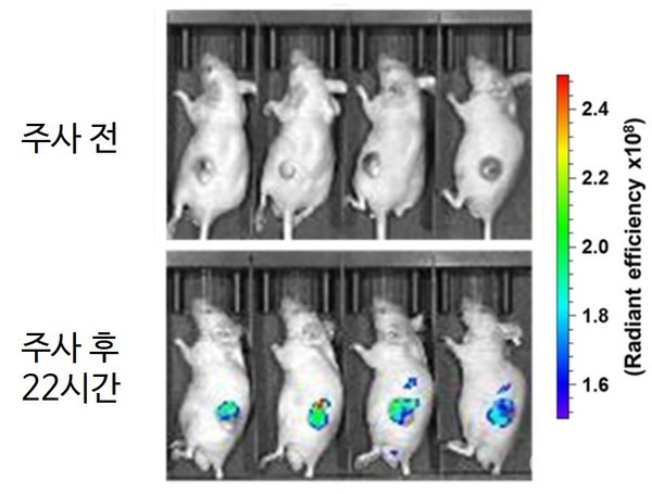 Fluorescent imaging of near-infrared fluorescent probe