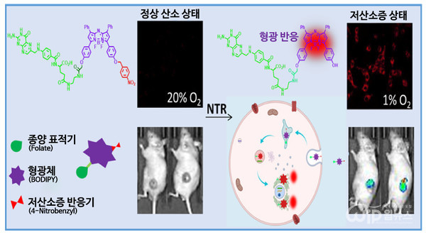 The structure and principle of near-infrared fluorescent probe