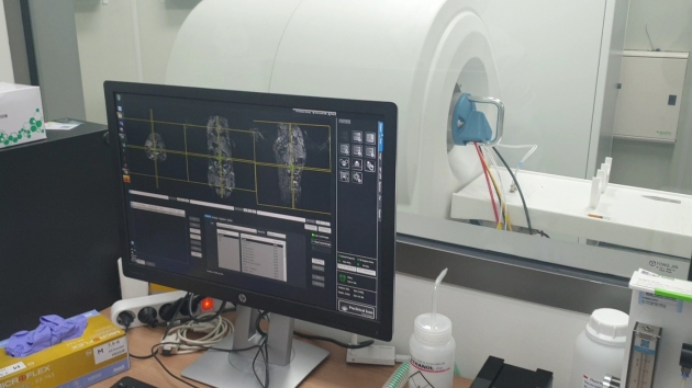 The result of scanning rat with MRI equipment and MRI equipment for animals
