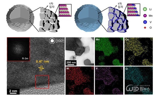 Schematic diagram of before and after vanadium ion doping and microscopic image and composition for distribution of anode material [Photo provided = KAIST]